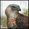 Colnect-2687-473-European-Honey-Buzzard-Pemis-apivorus.jpg