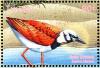 Colnect-4008-342-Ruddy-Turnstone%C2%A0%C2%A0%C2%A0%C2%A0Arenaria-interpres.jpg