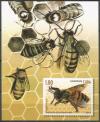 Colnect-4628-811-DArk-European-Honeybee-Apis-mellifera-mellifera.jpg