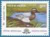 Colnect-548-017-Garganey-Anas-querquedula.jpg