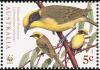 Colnect-604-145-Yellow-tufted-Honeyeater-Lichenostomus-melanops.jpg