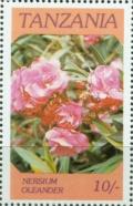 Colnect-1074-608-Nersium-oleander.jpg