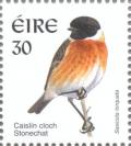 Colnect-129-563-Common-Stonechat-Saxicola-torquata.jpg