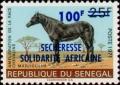 Colnect-2035-286-Madjiguene-Equus-ferus-caballus.jpg