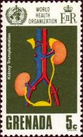 Colnect-2688-212-Kidney-Transplantation.jpg