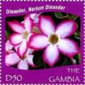 Colnect-3653-610-Nerium-oleander.jpg