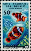 Colnect-806-425-Saddle-Anemonefish-Amphiprion-ephypium.jpg