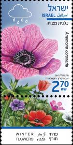 Colnect-2459-085-Anemone-coronaria.jpg