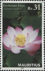 Colnect-4124-606-Nelumbo-nucifera.jpg