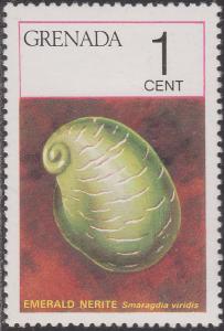 Colnect-1436-478-Emerald-Nerite-Smaragdia-viridis.jpg