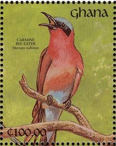 Colnect-1459-791-Southern-Carmine-Bee-eater-Merops-nubicoides.jpg