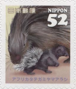 Colnect-3046-996-Cape-Porcupine-Hystrix-africaeaustralis.jpg