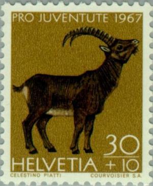 Colnect-140-331-Alpine-Ibex-Capra-ibex.jpg