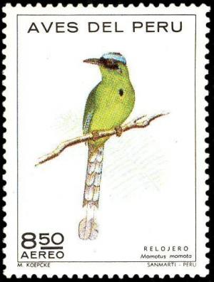 Colnect-1617-391-Blue-Crowned-Motmot-Momotus-momota.jpg