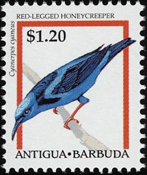 Colnect-1976-289-Red-legged-Honeycreeper-Cyanerpes-cyaneus.jpg