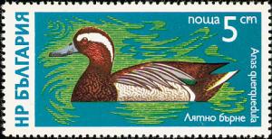 Colnect-1976-401-Garganey-Anas-querquedula.jpg