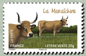 Colnect-2003-652-Mara%C3%AEchine-Bos-primigenius-taurus.jpg