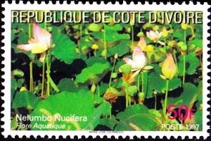 Colnect-2939-084-Nelumbo-nucifera.jpg