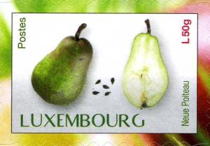 Colnect-3071-646---Neue-Poiteau--pear.jpg