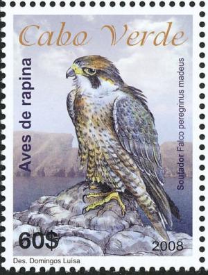 Colnect-3970-508-Cape-Verde-Peregrine-Falcon-Falco-peregrinus-madens-.jpg