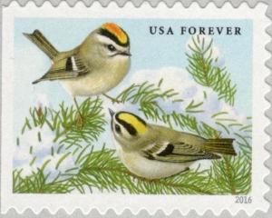 Colnect-4020-328-Golden-crowned-Kinglet-Regulus-satrapa.jpg