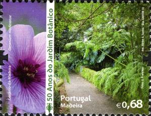 Colnect-5099-614-Madeira-cranesbill-Geranium-maderense.jpg