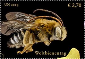 Colnect-5858-462-Long-horned-Bee-Genus-Melissodes.jpg