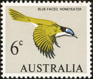 Colnect-604-074-Blue-faced-Honeyeater-Entomyzon-cyanotis.jpg