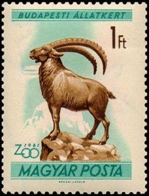 Colnect-813-949-Alpine-Ibex-Capra-ibex.jpg