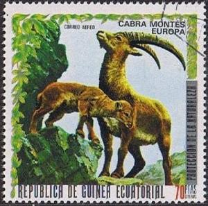 Colnect-859-064-Alpine-Ibex-Capra-ibex.jpg