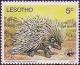 Colnect-1725-527-Cape-Porcupine-Hystrix-africaeaustralis.jpg