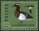 Colnect-1967-319-Garganey-Anas-querquedula.jpg