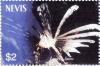 Colnect-5302-724-Lionfish-Lioices-latus.jpg