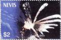 Colnect-5302-724-Lionfish-Lioices-latus.jpg