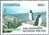 Colnect-1281-182-Adelie-Penguin-Pygoscelis-adeliae.jpg