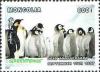 Colnect-1281-183-Emperor-Penguin-Aptenodytes-forsteri.jpg