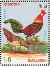 Colnect-1421-753-Red-Junglefowl-Gallus-gallus.jpg