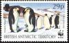 Colnect-2159-994-Emperor-Penguin-Aptenodytes-forsteri.jpg