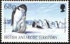 Colnect-2159-995-Chinstrap-Penguin-Pygoscelis-antarcticus.jpg