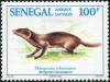 Colnect-2189-090-Egyptian-Mongoose-Herpestes-ichneumon.jpg