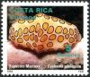 Colnect-2198-507-Flamingo-Tongue-Snail-Cyphoma-gibbosum.jpg