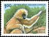 Colnect-2524-305-Golden-Langur-Trachypithecus-geei.jpg