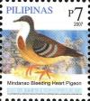 Colnect-2876-021-Mindanao-Bleeding-heart-Gallicolumba-criniger.jpg