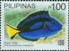 Colnect-2914-140-Blue-Tang-Acanthurus-coeruleus.jpg