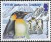 Colnect-2935-385-Emperor-Penguin-Aptenodytes-forsteri.jpg