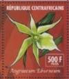 Colnect-3205-434-Angraecum-eburneum.jpg