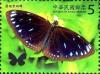 Colnect-3490-089-Blue-branded-King-Crow-Euploea-eunice-hobsoni.jpg