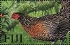 Colnect-3956-015-Red-Junglefowl-Gallus-gallus.jpg