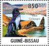 Colnect-3967-968-Galapagos-Penguin-Spheniscus-mendiculus.jpg