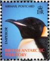 Colnect-4568-903-Emperor-Penguin-Aptenodytes-forsteri.jpg